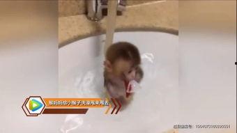 小姑娘洗澡在线观看,揭秘小姑娘洗澡在线观看的神秘面纱 第2张 小姑娘洗澡在线观看,揭秘小姑娘洗澡在线观看的神秘面纱 第2张